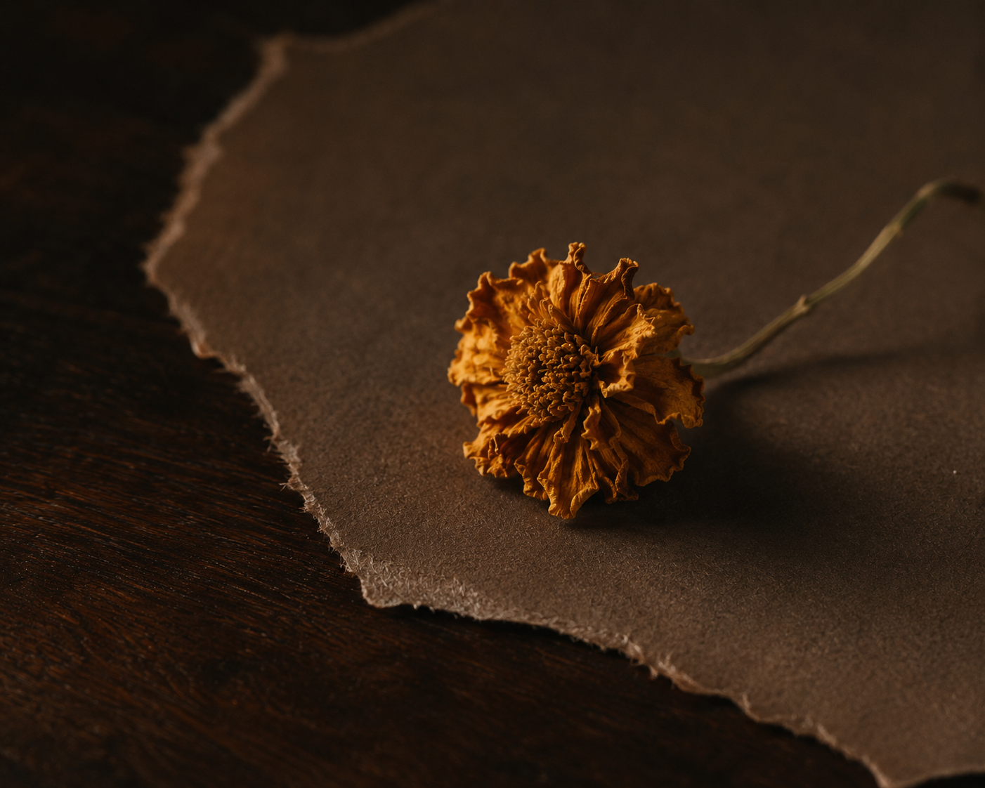 Marigold & Ash