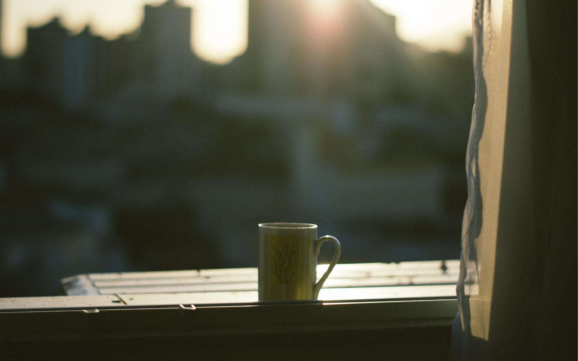 How I Built a Morning Ritual That Grounds My Workday