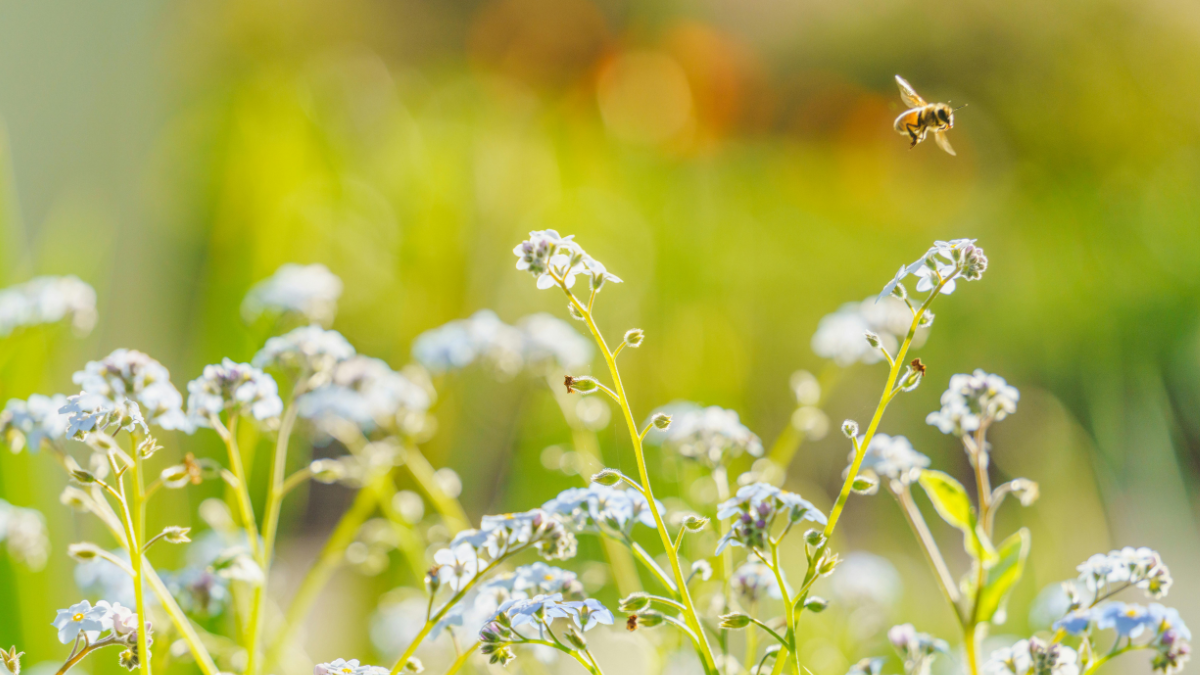 You've Suffered Enough, I Promise