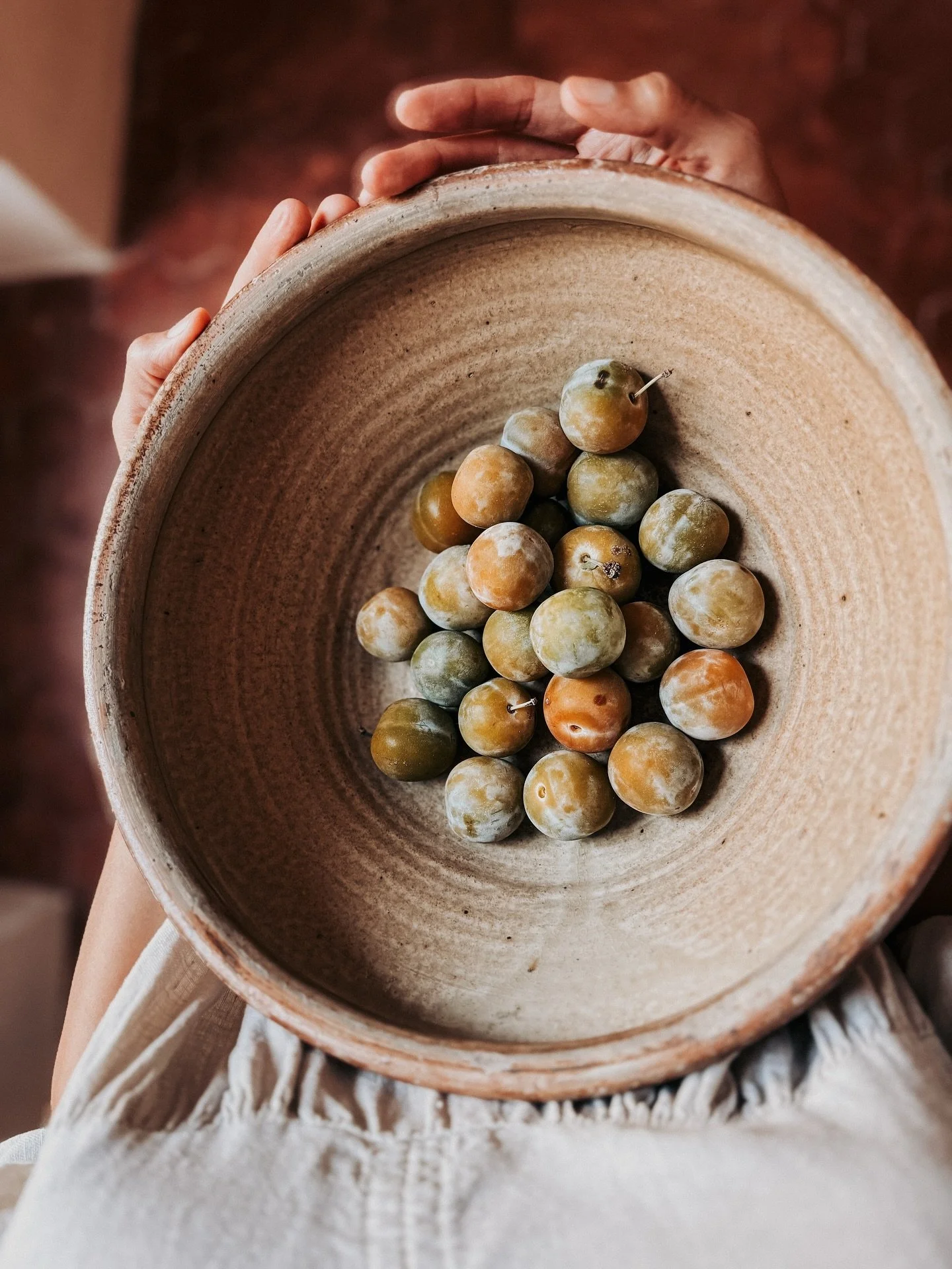 The plums are in season here in Provence, their tender skins catching the late summer light. They remind me that everything has its own appointed time. Soon, they&rsquo;ll be gone. 

Part of why I come here is to hibernate a little&mdash;creatively, 