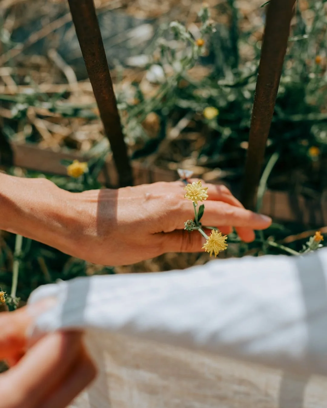 Artist Gabi Brown in Provence.