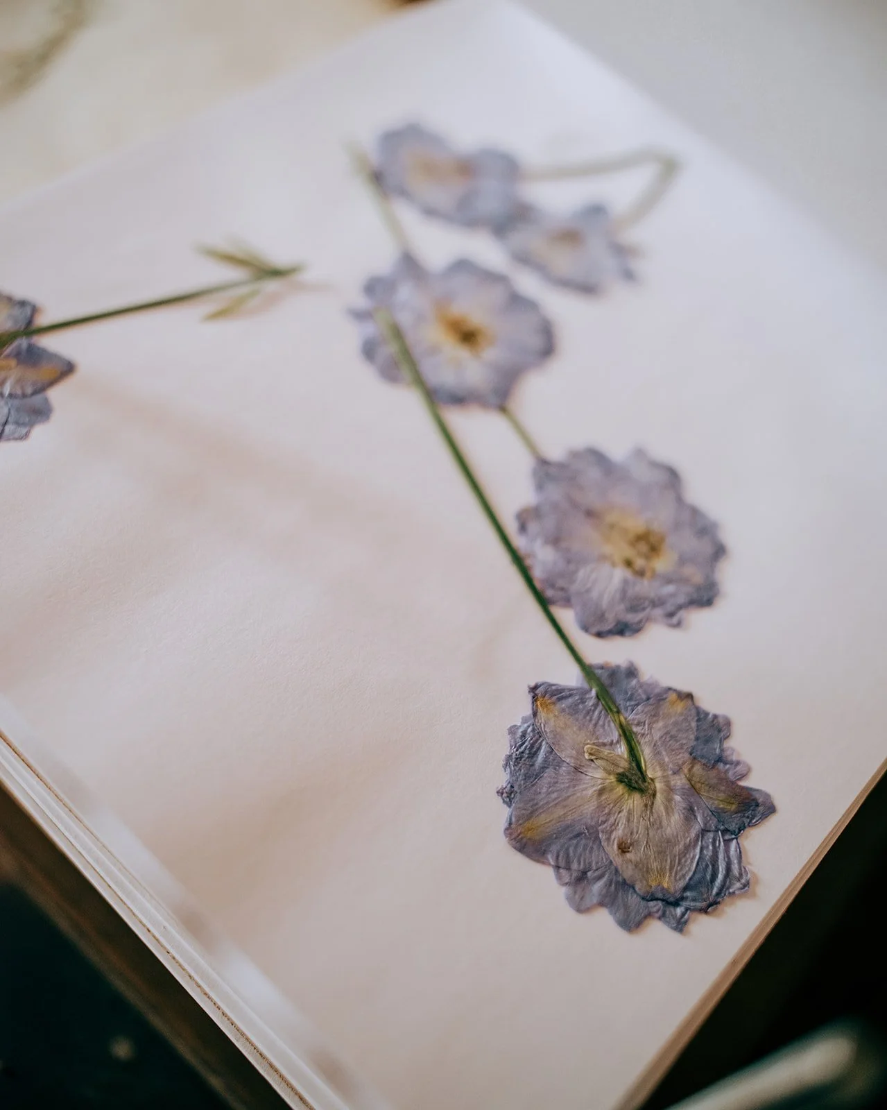 zoewittering-photographe-gabibrownart-studio-333_websize.jpg