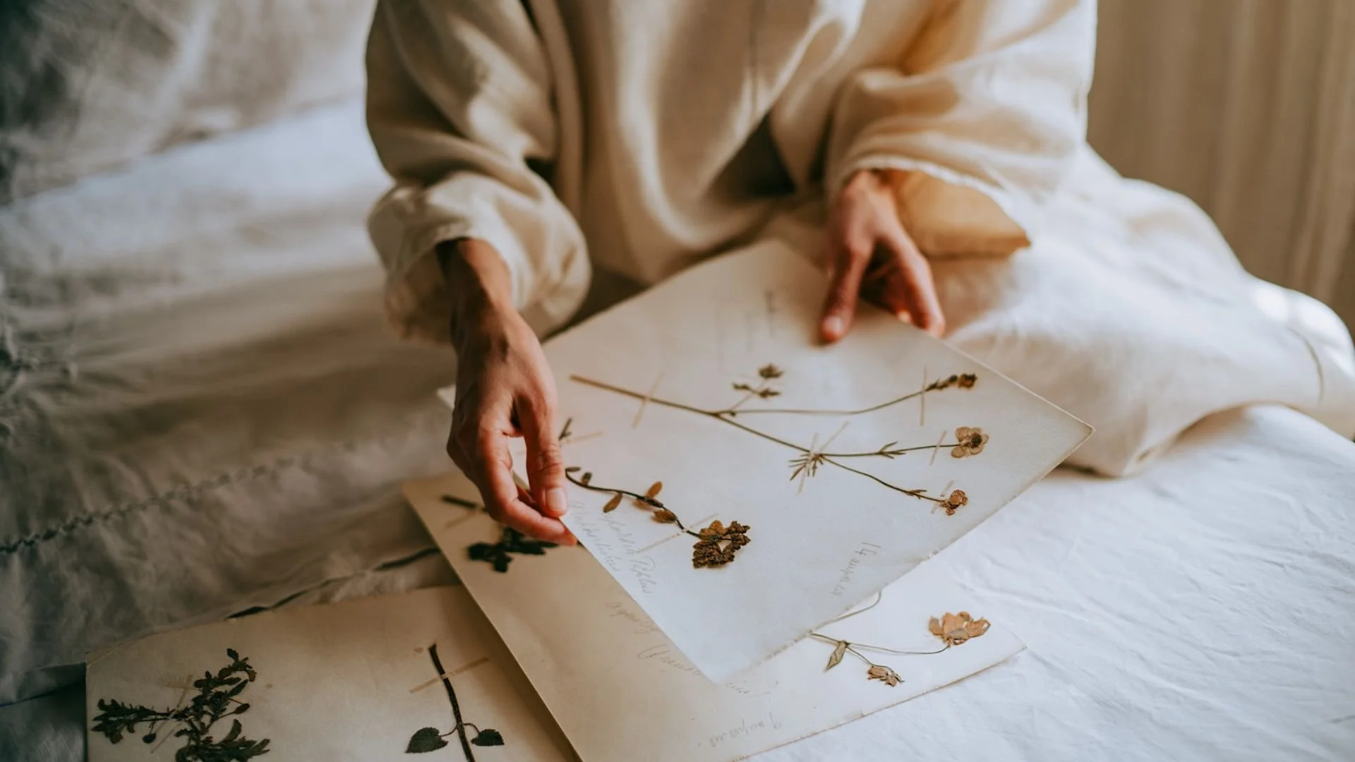 Artist Gabi Brown in Provence w vintage botanical studies.