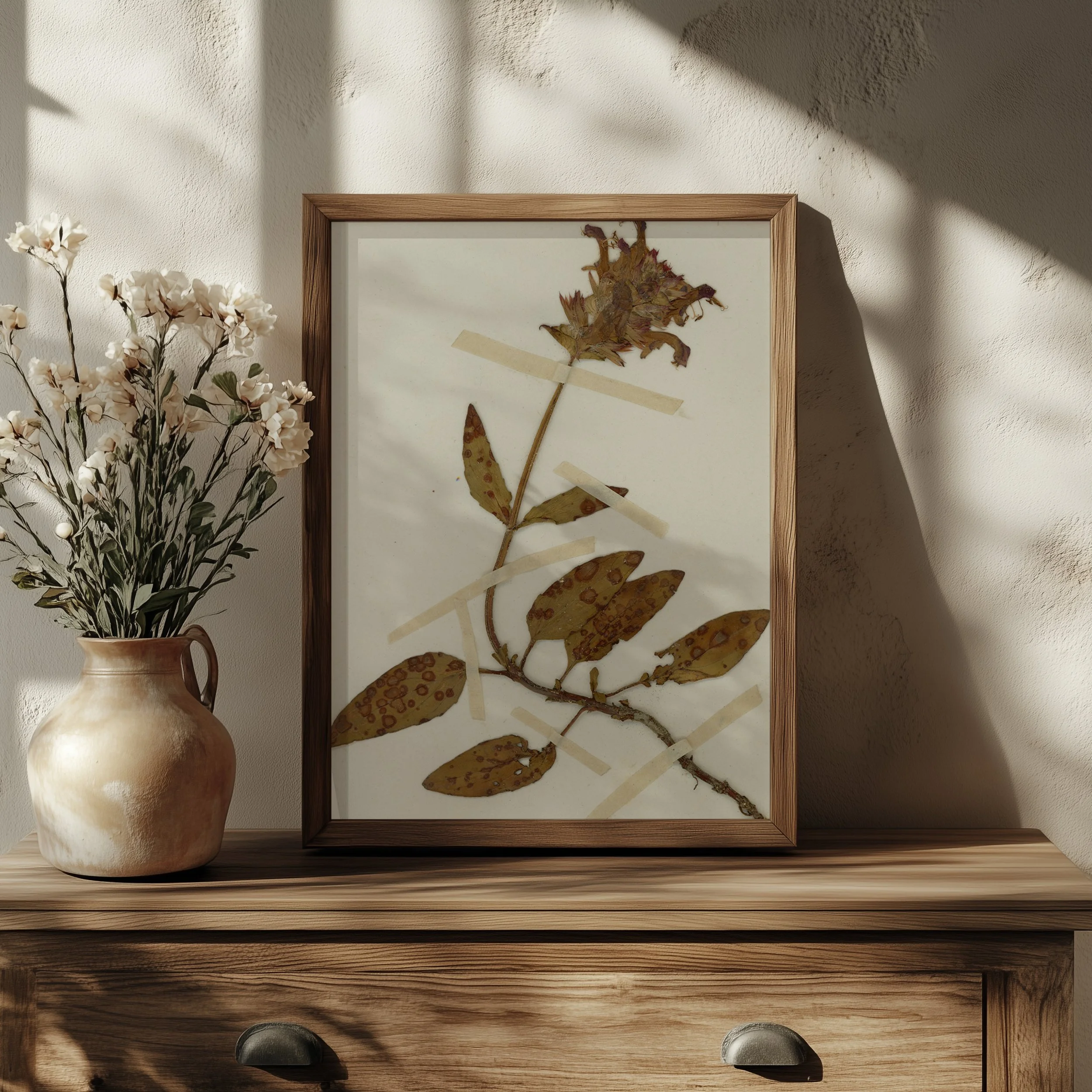 Prunella vulgaris (Self-Heal) – Variant Specimen Mockup.jpg