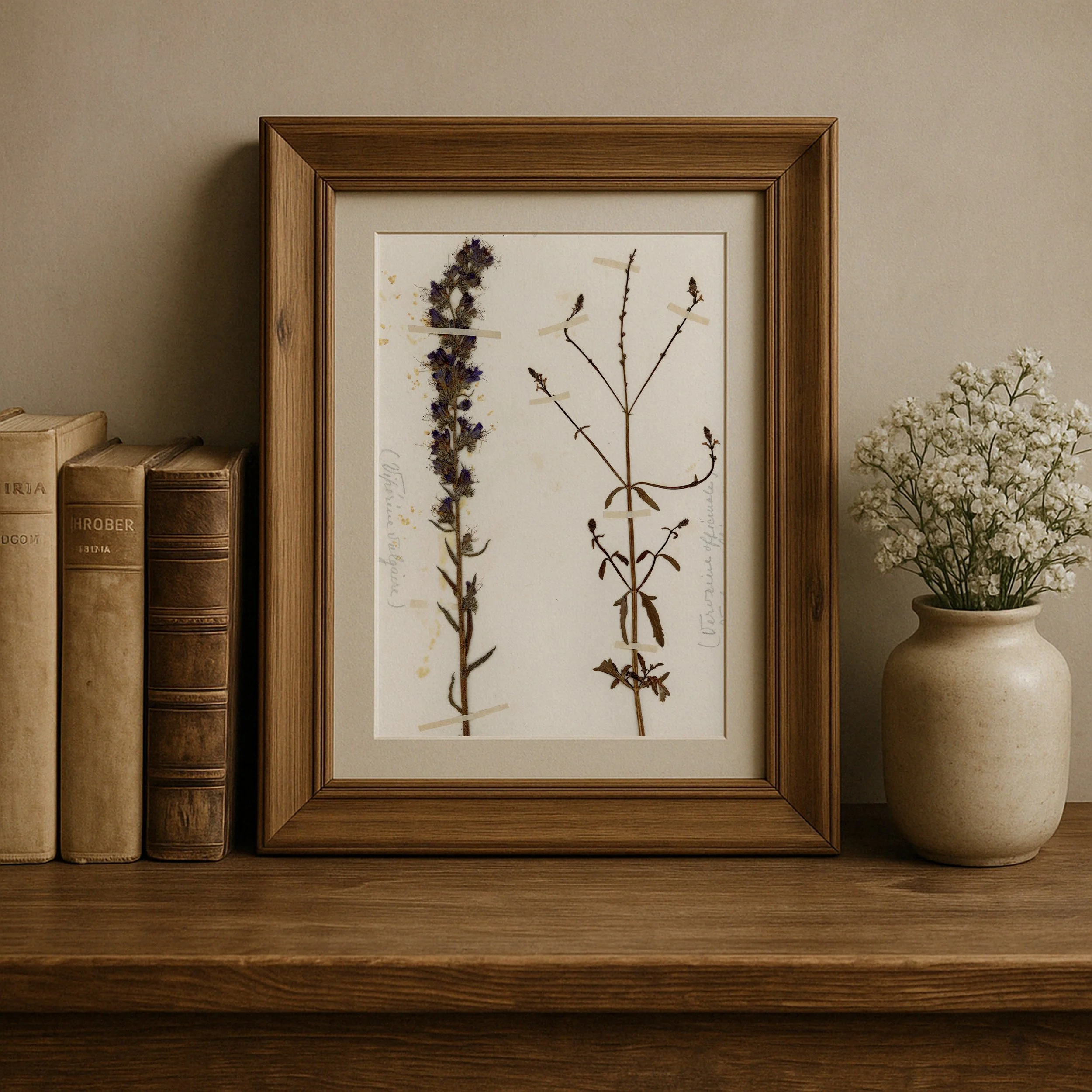 Echium vulgare & Verbena officinalis Mockup.jpg