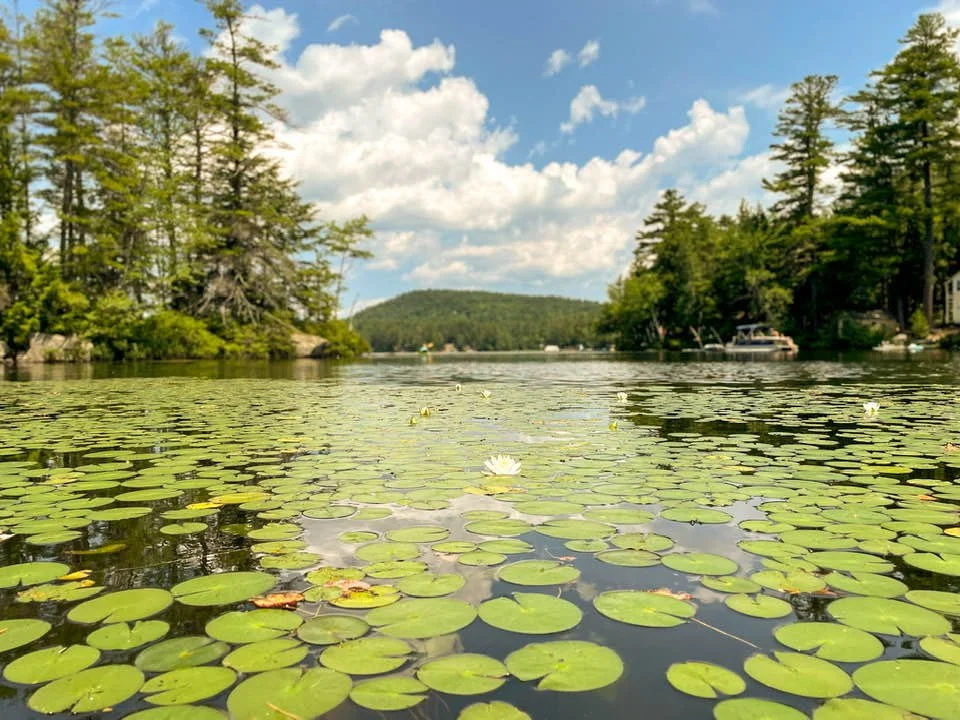 Perkins Pond John4.jpeg