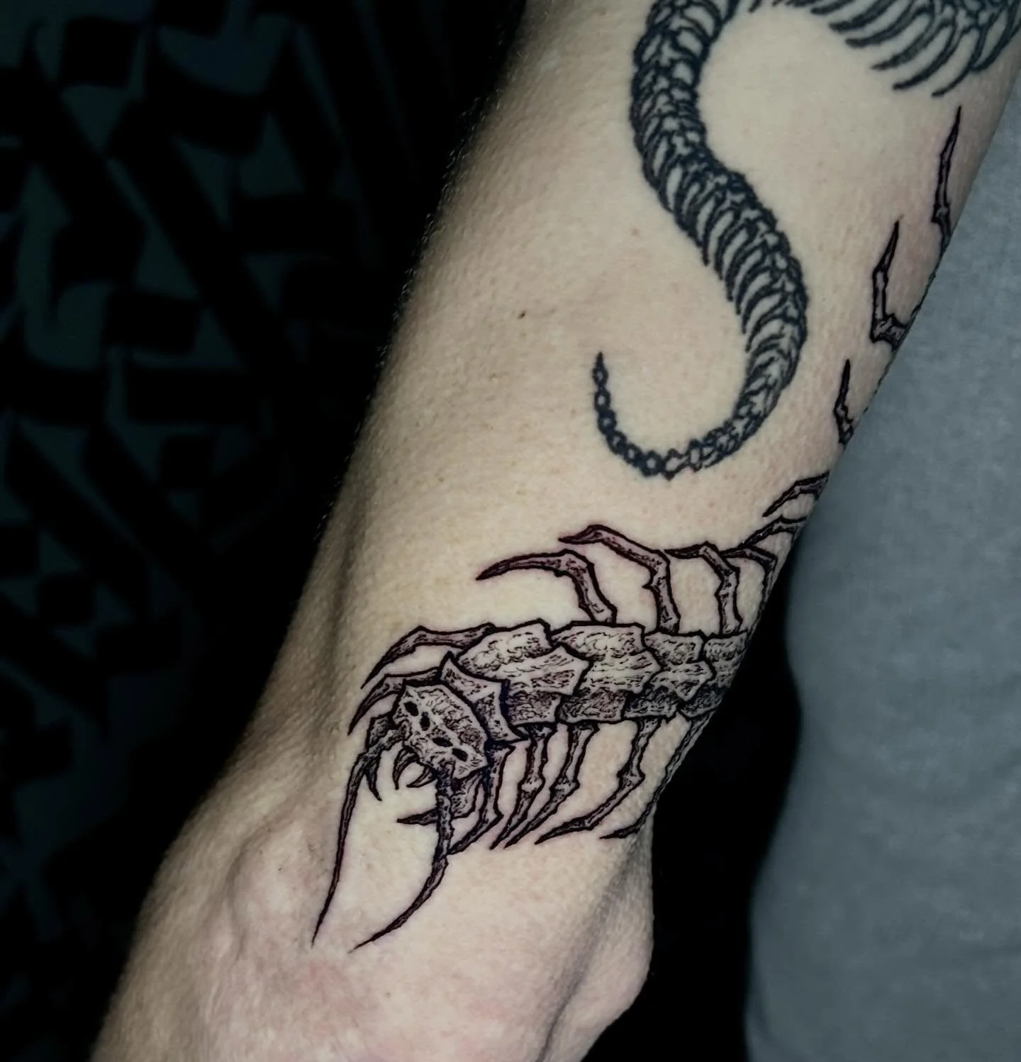 Cool little centipede I tattooed recently, would love to do more creepy crawlers like this!
.
.
.
#blackwork#darkarttattoo#coloradotattooartist#denvertattooartist#tattoo