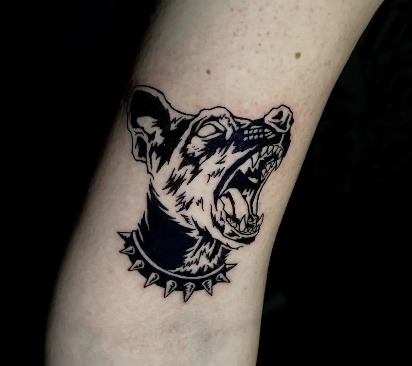 Memorialized my clients dog for her, capturing his feral nature haha let me know what you think!
.
.
.
#blackwork#blackworktattoo#coloradotattooartist#denvertattooartist#dogtattoo