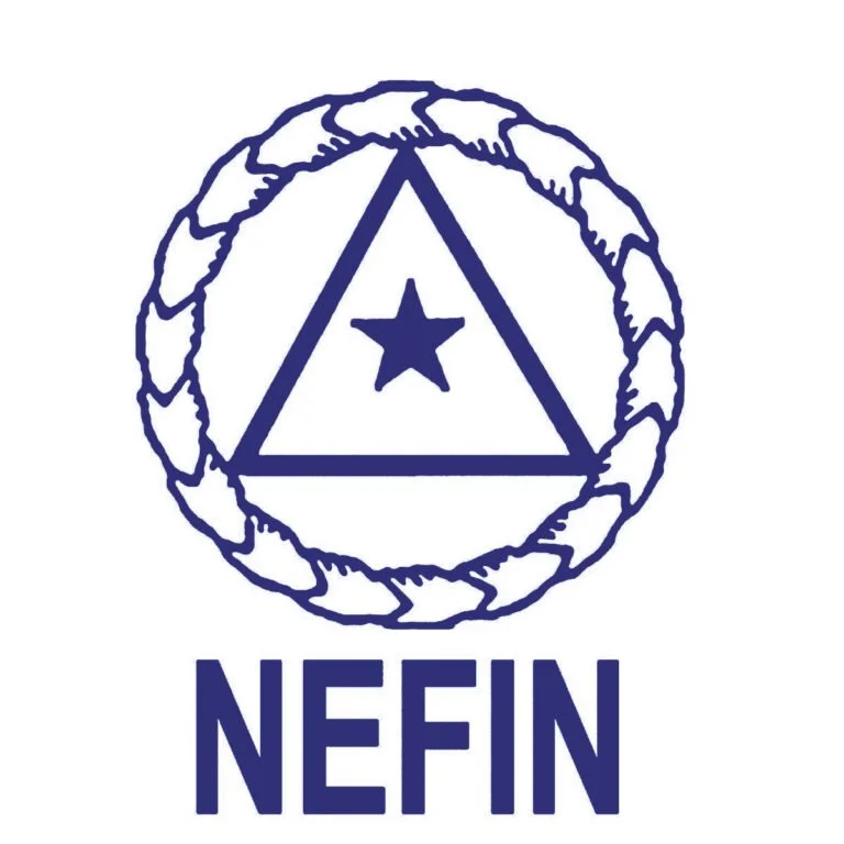 The NEFIN logo features a circle with a braid-like border, a triangle with a star inside, and the word 'NEFIN' underneath.
