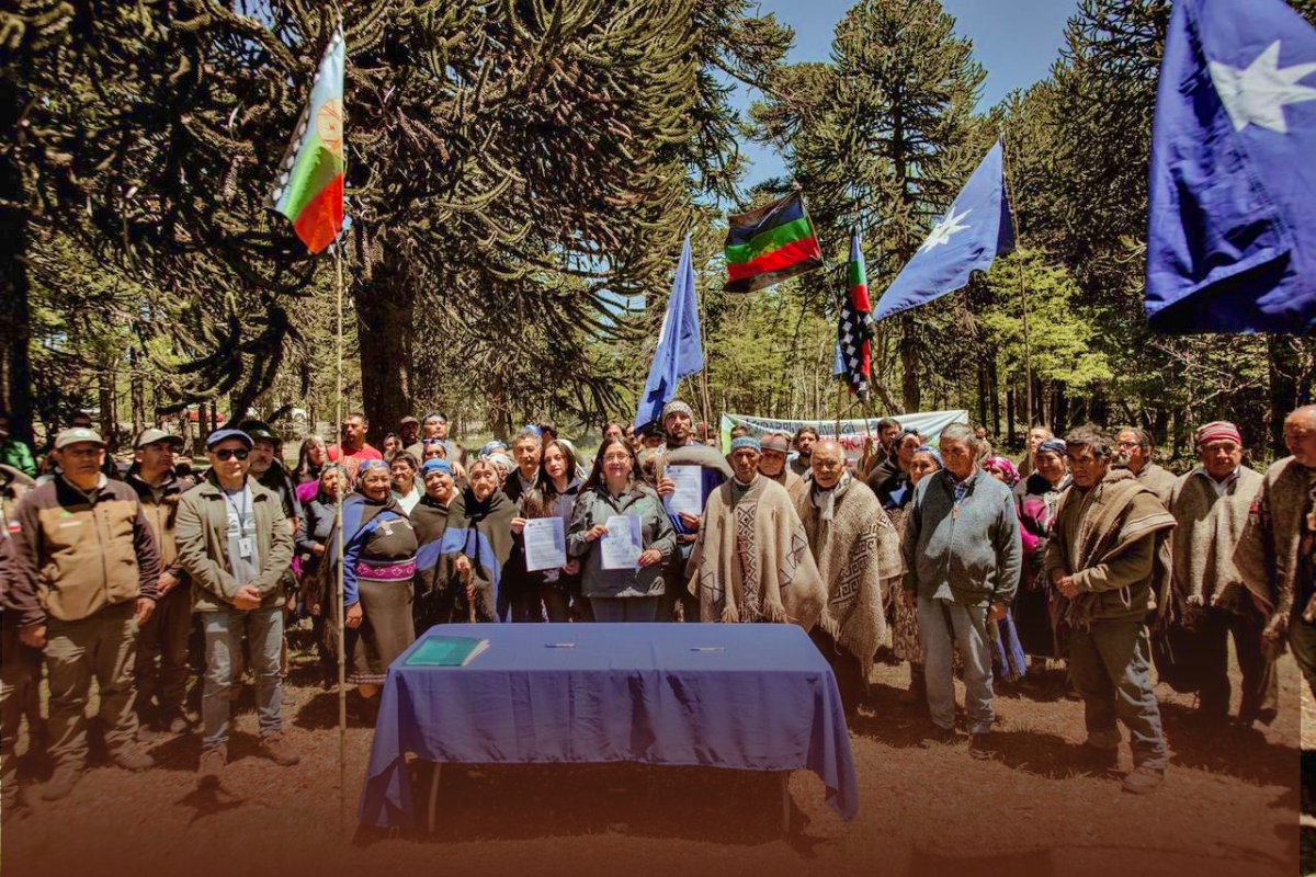 Historic Co-Governance Agreement for Villarrica National Park