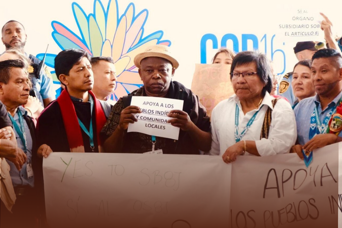 COP16: Advancing Indigenous Leadership and Inclusive Conservation