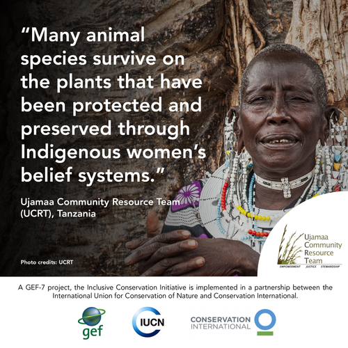 IPDaycards8 (2).webp