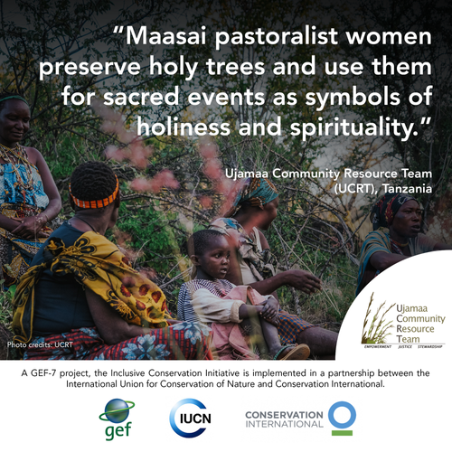 IPDaycards8 (3).webp