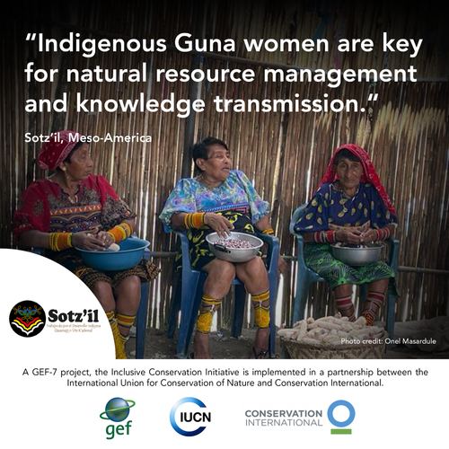 IPDaycards8 (7).webp