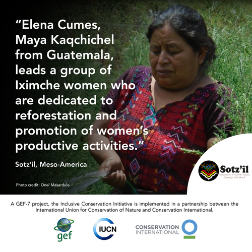 IPDaycards8 (6).webp