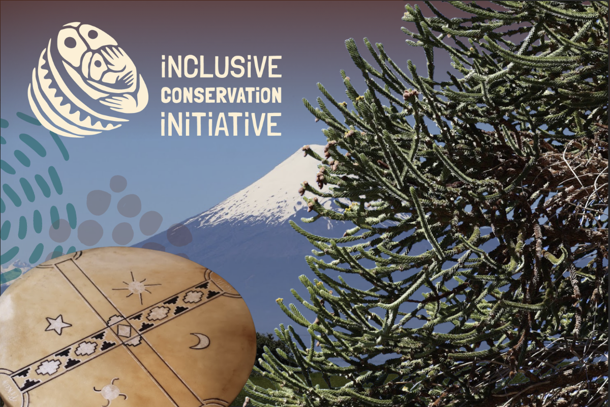 Territories of Life in Resilience and Resolve