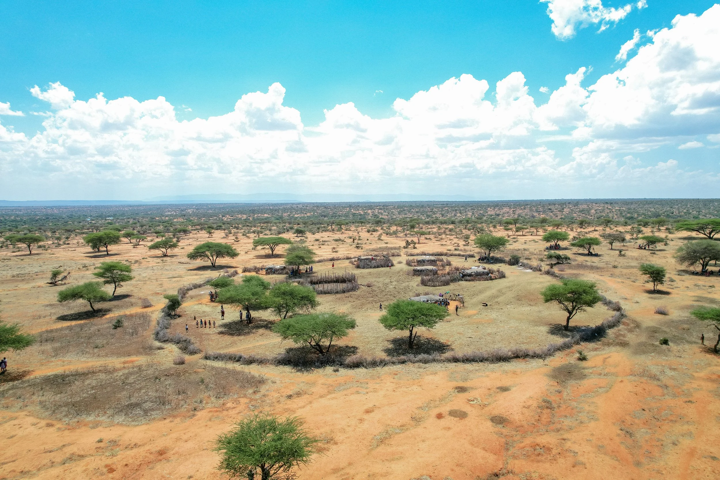 A rural landscape with sparse green trees, small huts, and people walking on dirt paths under a partly cloudy sky in Tanzania.
