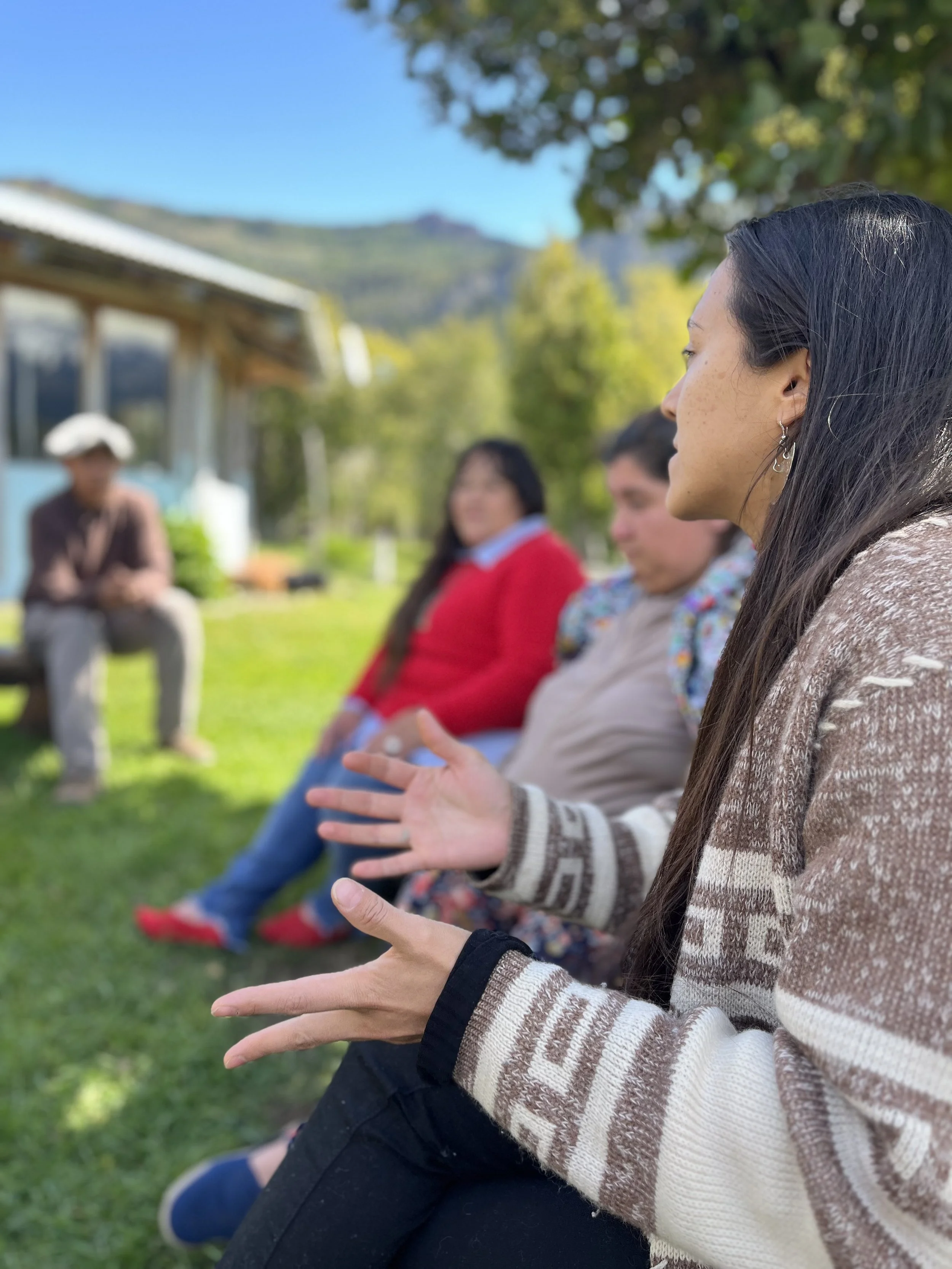 Group of four people sitting outdoors on grass, engaged in conversation, with a house, trees, and mountains in the background.