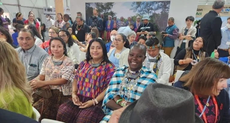 A diverse group of people seated and standing at an indoor event or gathering, some wearing traditional clothing and accessories at UNFCCC COP 27.