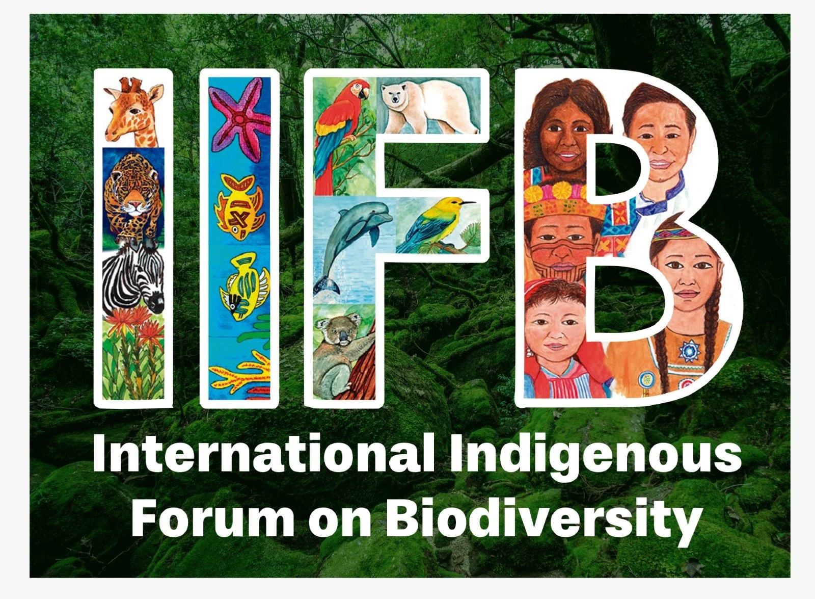 Colorful illustration of the acronym 'IIFB' filled with images of animals, plants, and indigenous people, with the text 'International Indigenous Forum on Biodiversity' below, set against a green forest background.