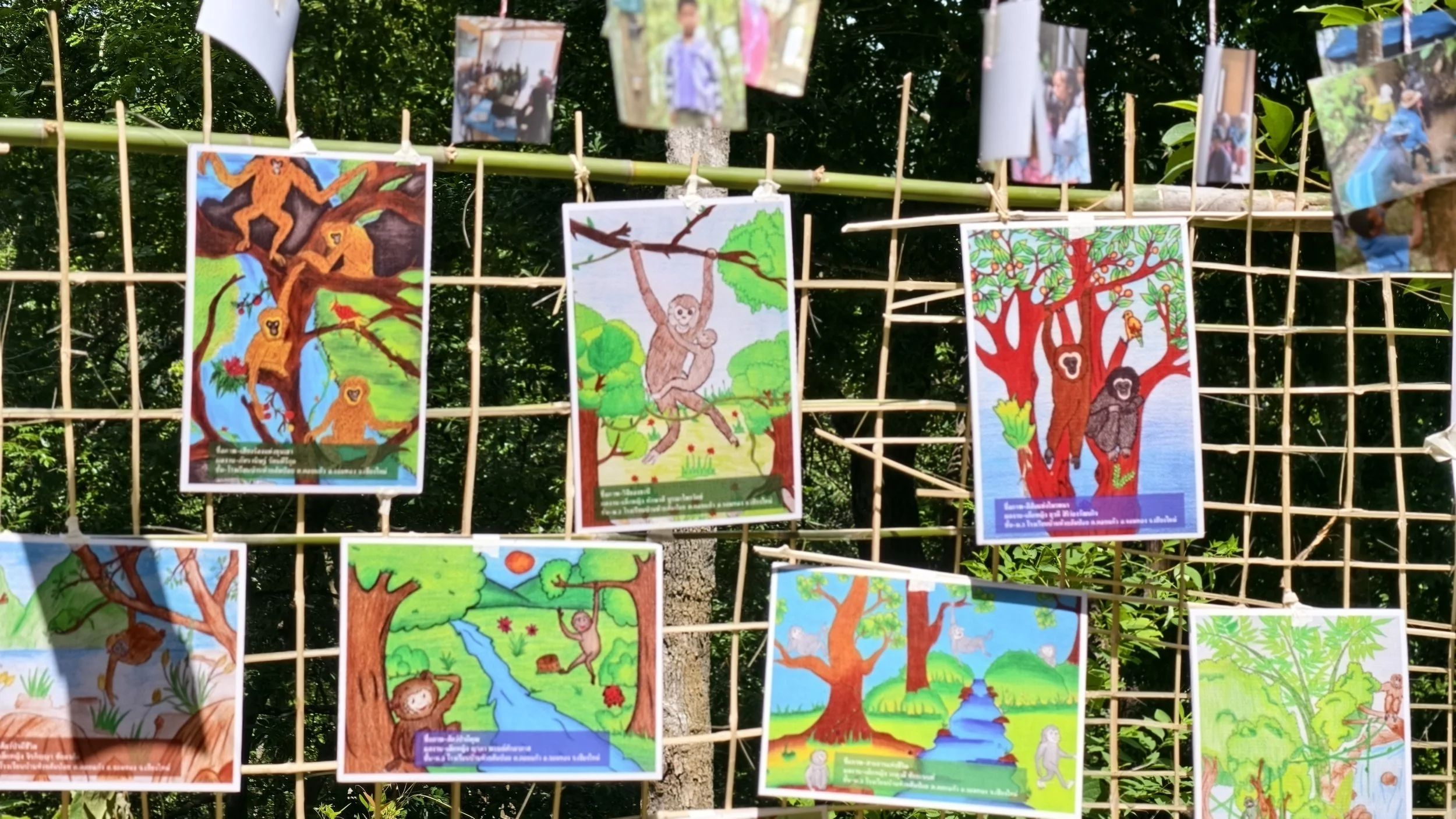 Colorful illustrated posters of monkeys and nature scenes hanging on a bamboo grid outdoors from Thailand.
