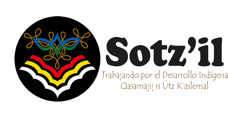 Logo for Sotz'il featuring a stylized embroidered design in yellow, blue, red, black, and white alongside text in Spanish and English promoting indigenous development.