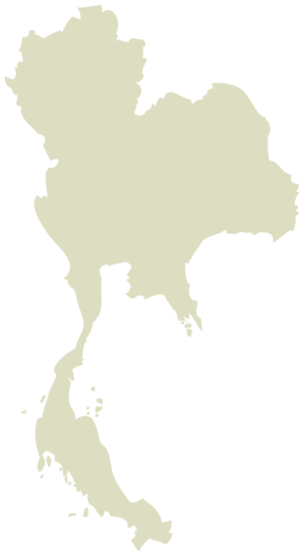 Silhouette of Thailand in olive green color.