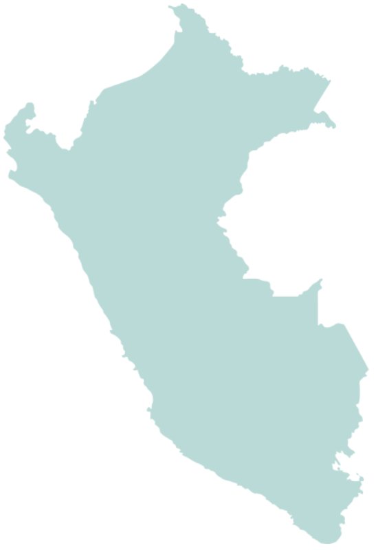 Outline map of Peru colored in teal.