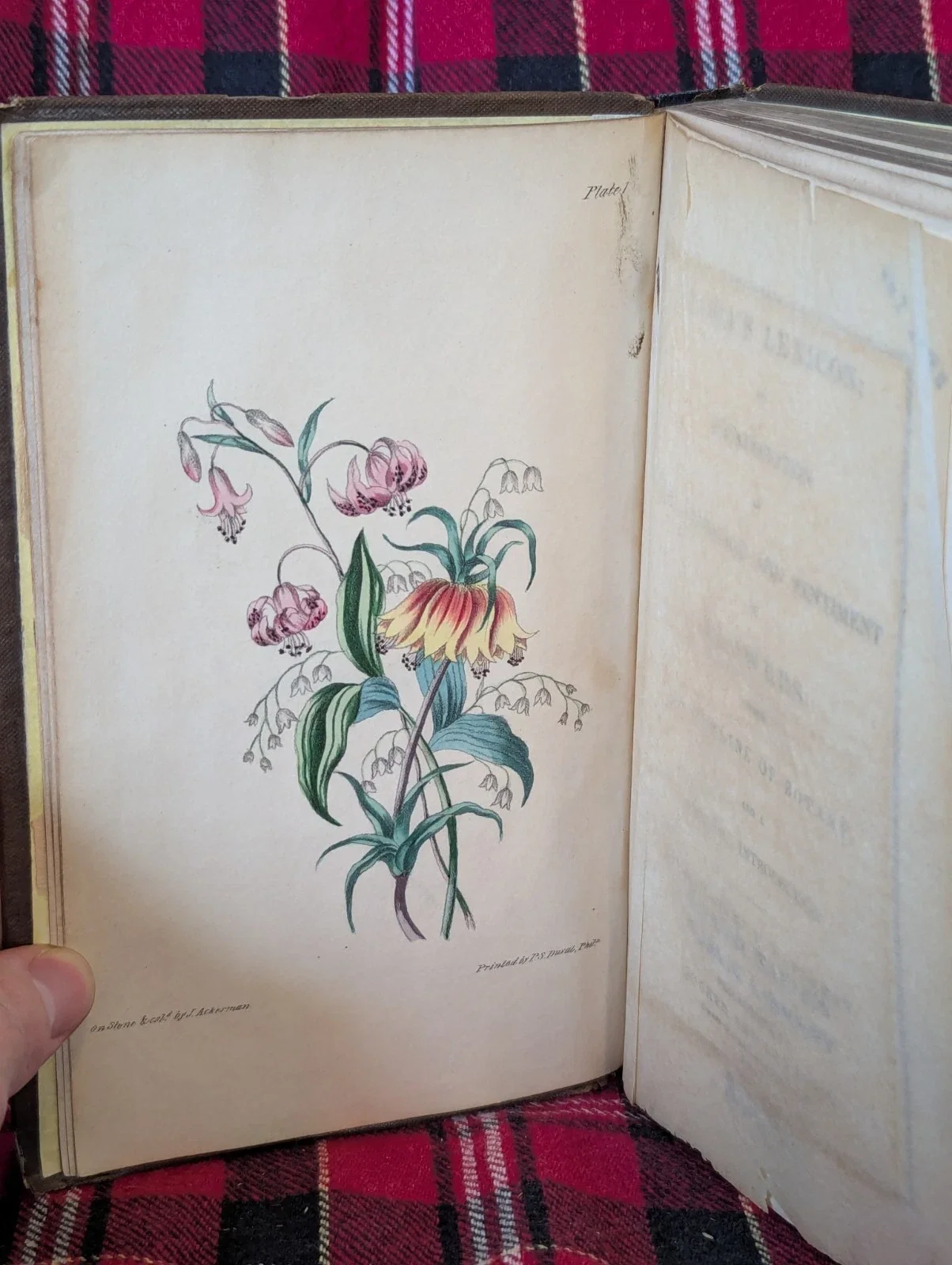 FLORA'S LEXICON: An Interpretation Of The Language And Sentiment Of Flowers 1839 US $217.50