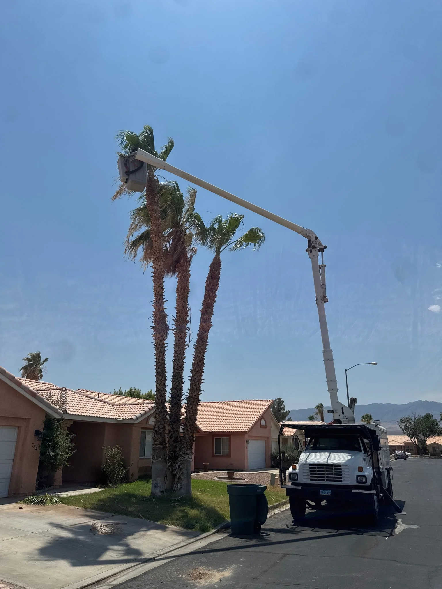 A bucket truck extends a boom lift to trim or work on palm trees in a residential neighborhood under a clear blue sky.
