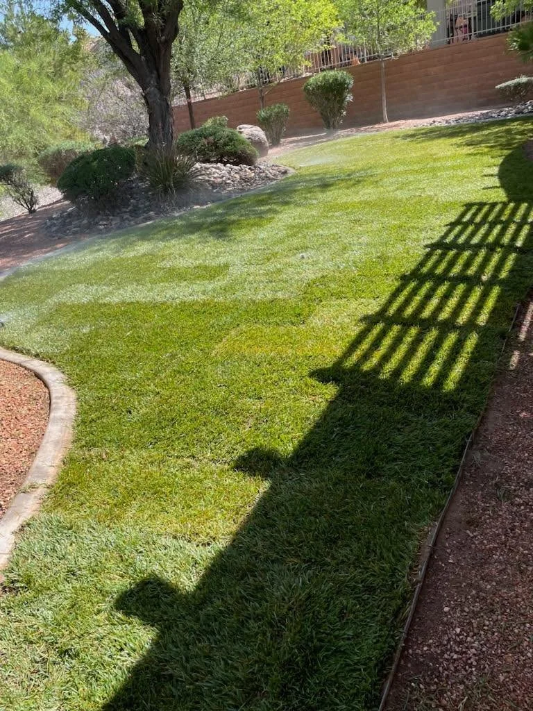 Sunlit backyard lawn with trees and bushes, and a shadow of a pergola or fence cast over the grass.