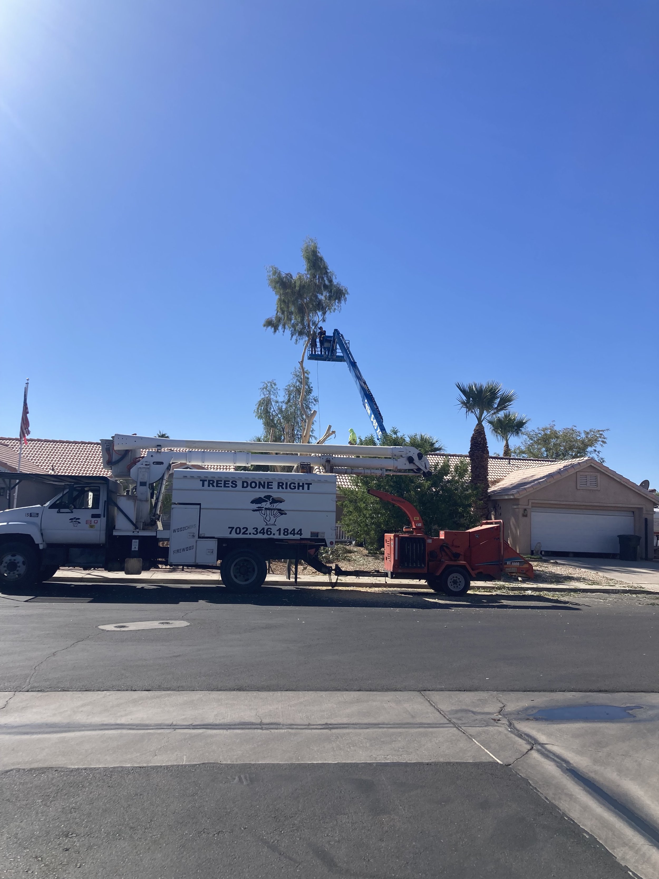 Tree trimming truck with a cherry picker working on a tall tree next to a house during the day.