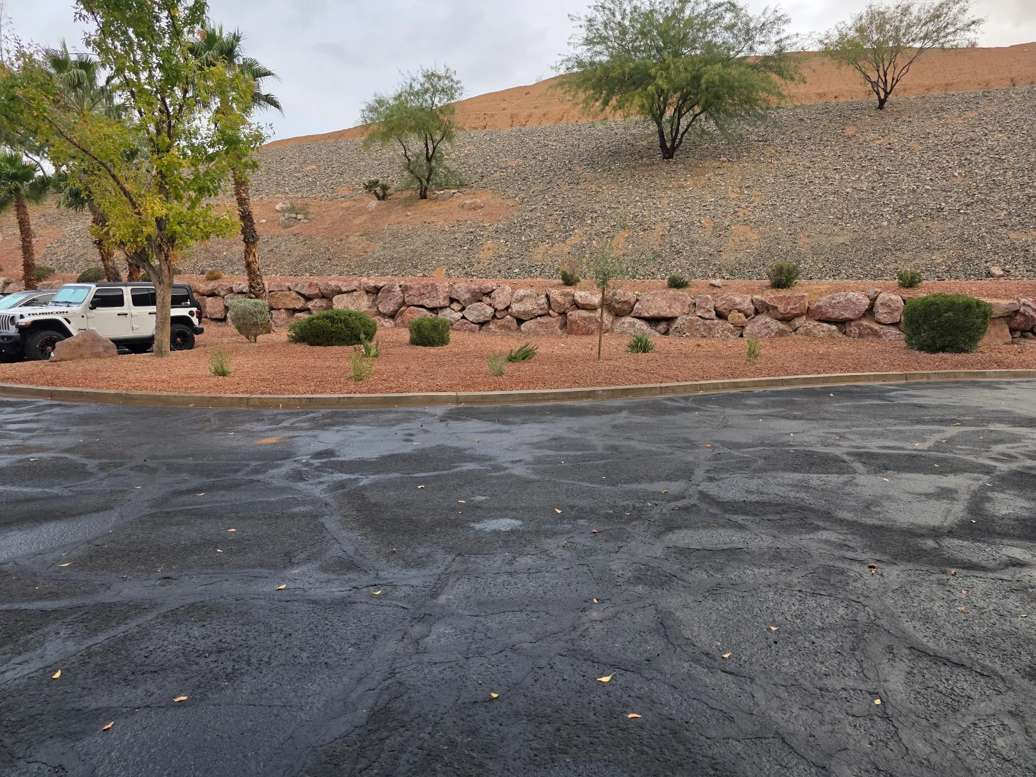 A parking lot with wet asphalt, surrounded by desert landscaping, including trees, bushes, and a rock wall, with a white Jeep parked on the left.