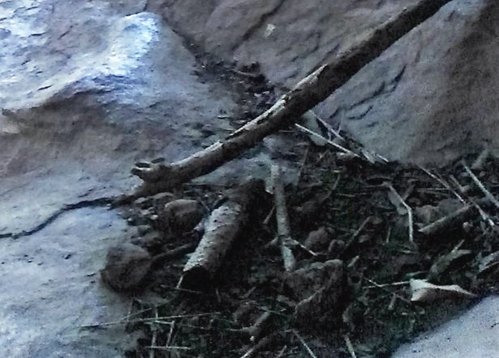 Close-up of dirt, rocks, and twigs on the ground inside a rocky cave or crevice.