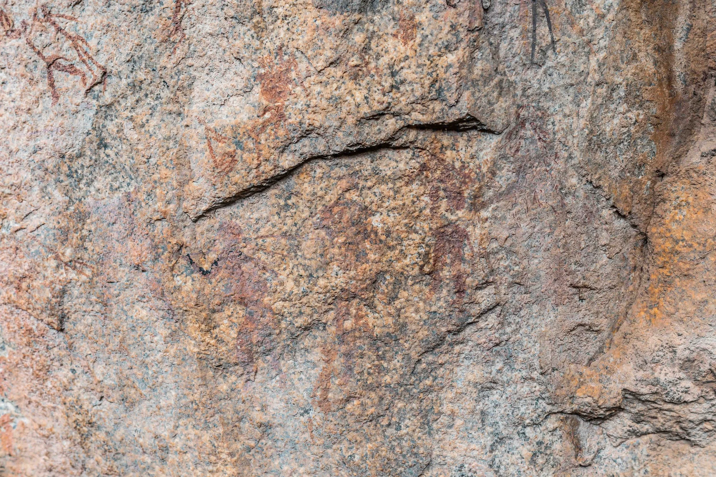 Close-up of a textured rock surface with reddish-brown and grey tones.
