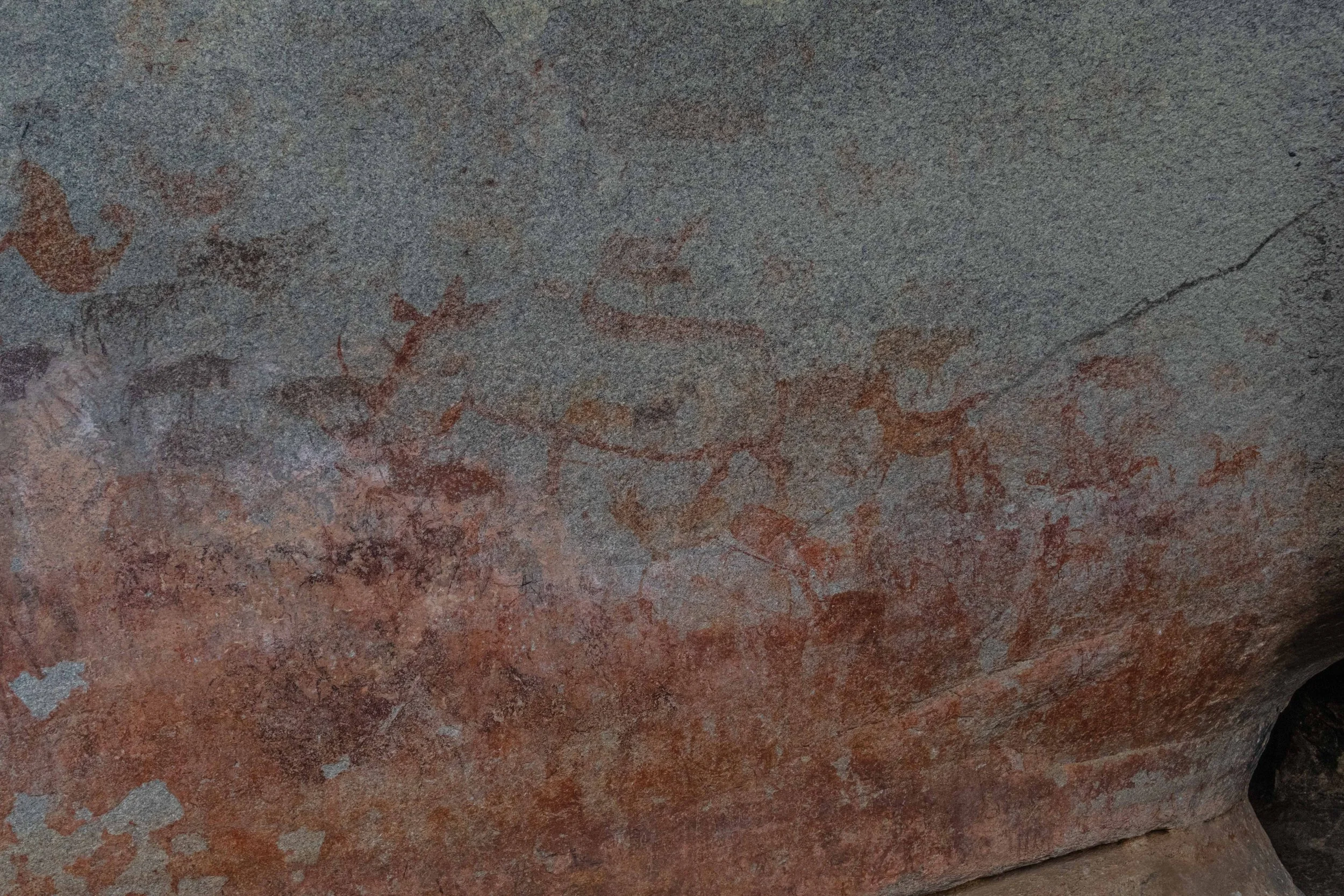 Ancient cave painting of animals, including rhino, buffalo, antelope, kudu and deer, on a rock surface.