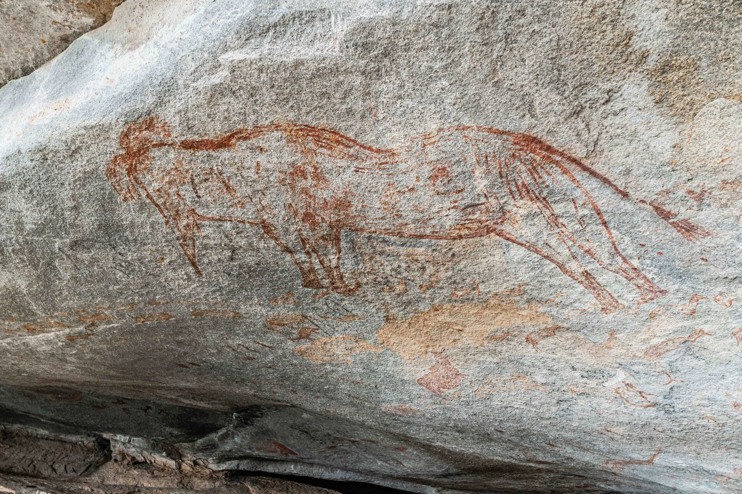 Prehistoric cave painting of a feline on a rock surface.