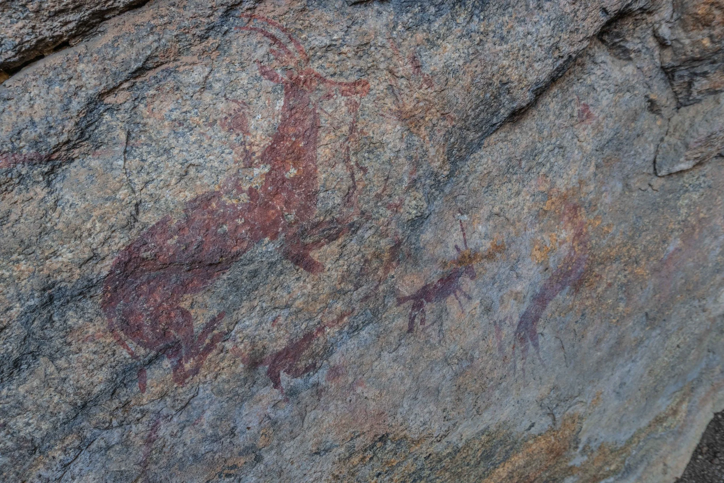 Ancient cave painting of antelope in lying position on a rough, gray rock surface.