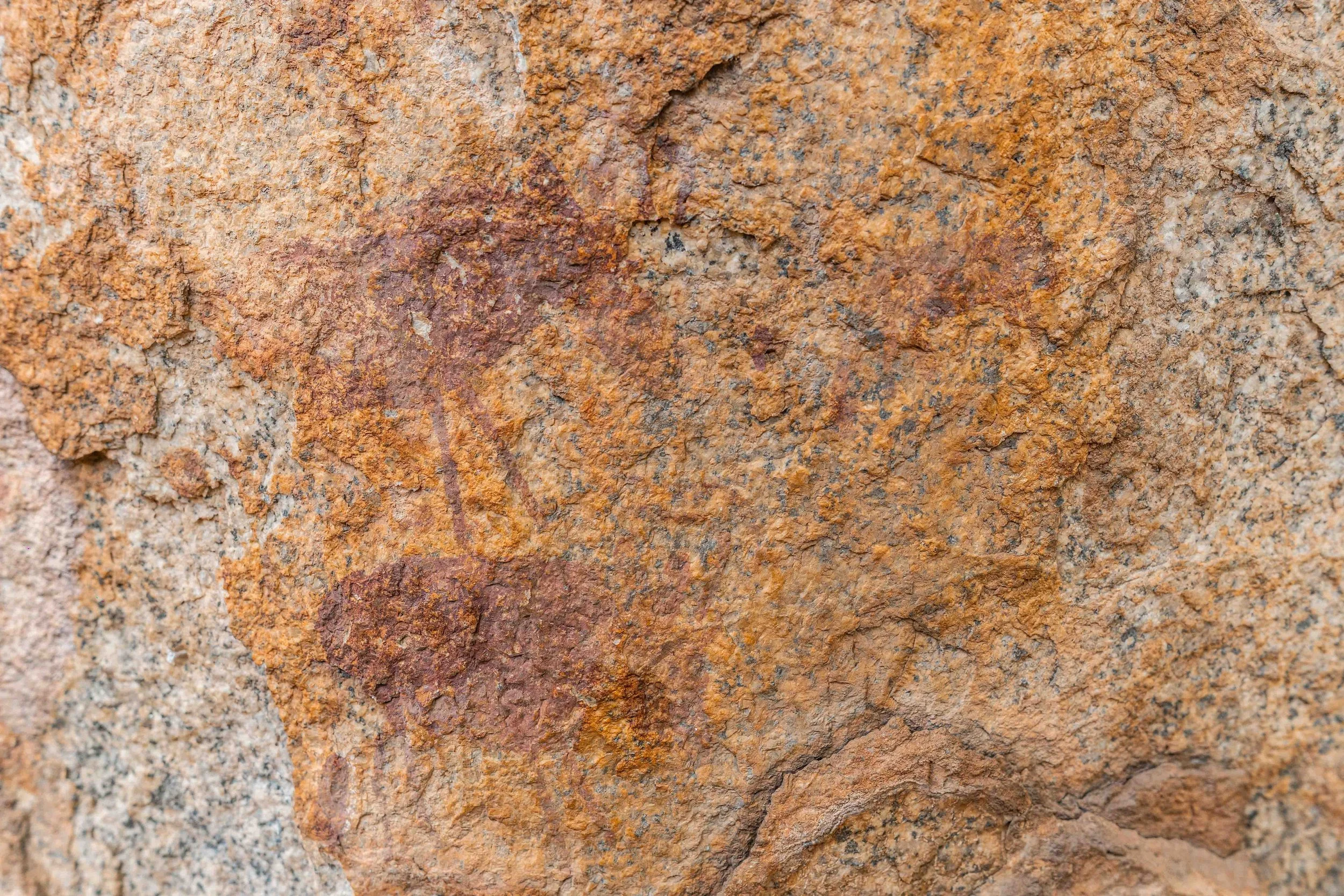 Close-up of a textured rock surface with various shades of brown, tan, and reddish hues, showing rough, uneven details.