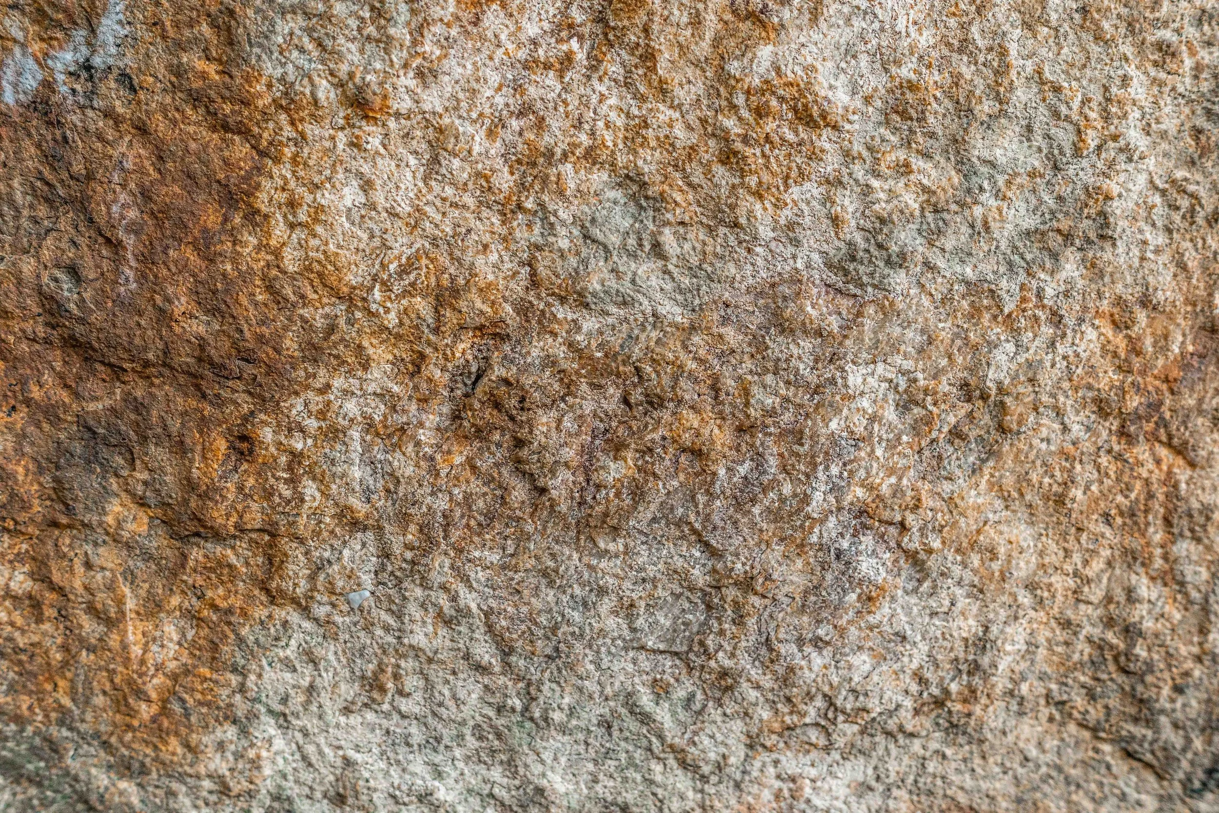 Close-up of a rough, textured, reddish-brown rock surface with various cracks and mineral deposits.