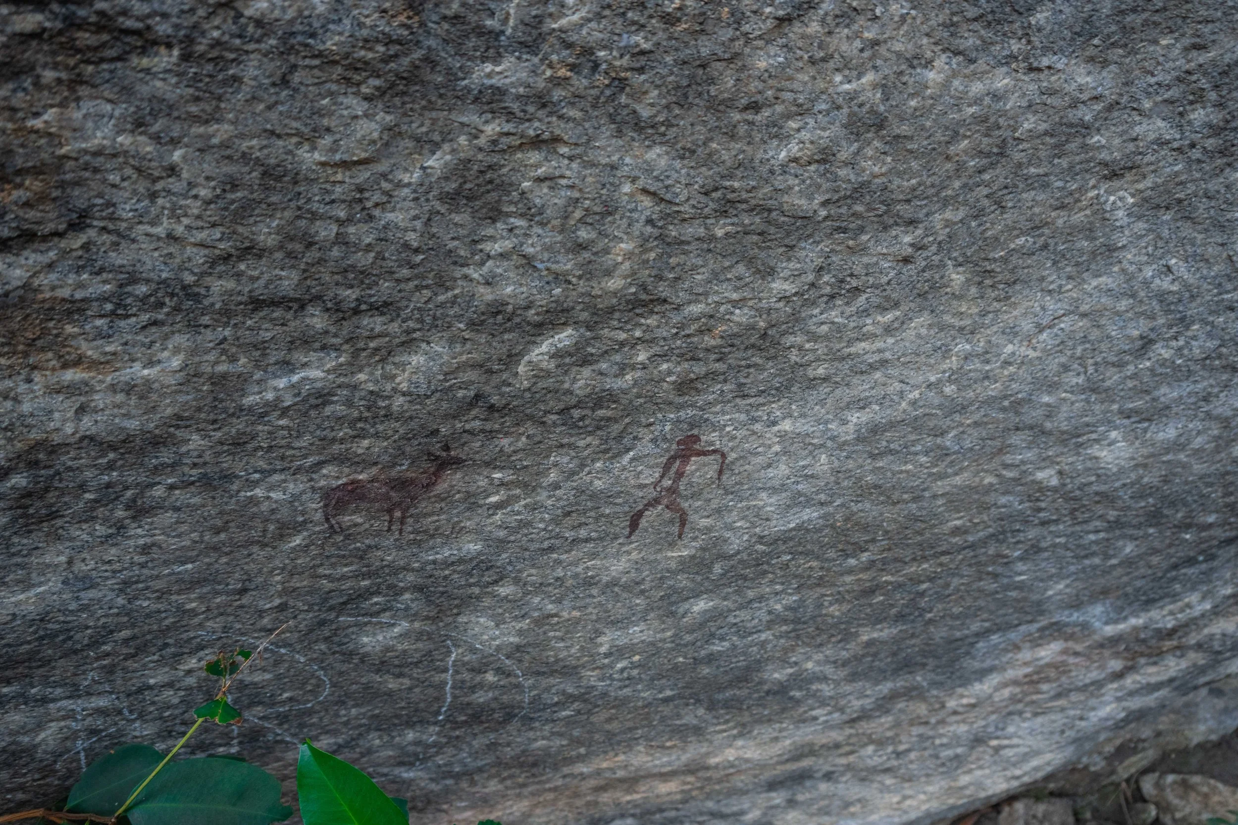 Prehistoric cave painting of an antelope/deer and a human figure on a rock surface with green leaves at the bottom left corner.