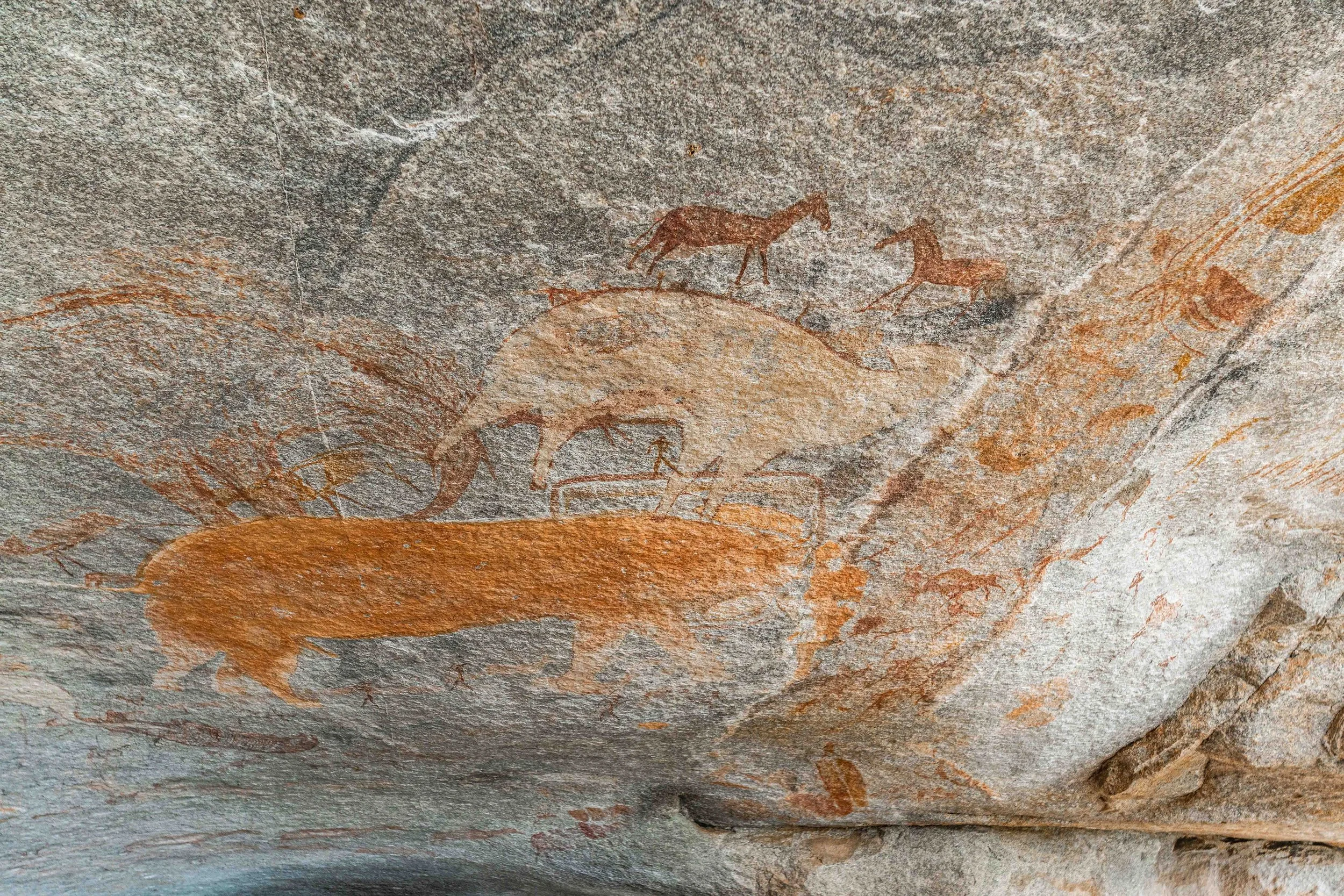Section showing antelopes in orange pigment at Chikupo cave