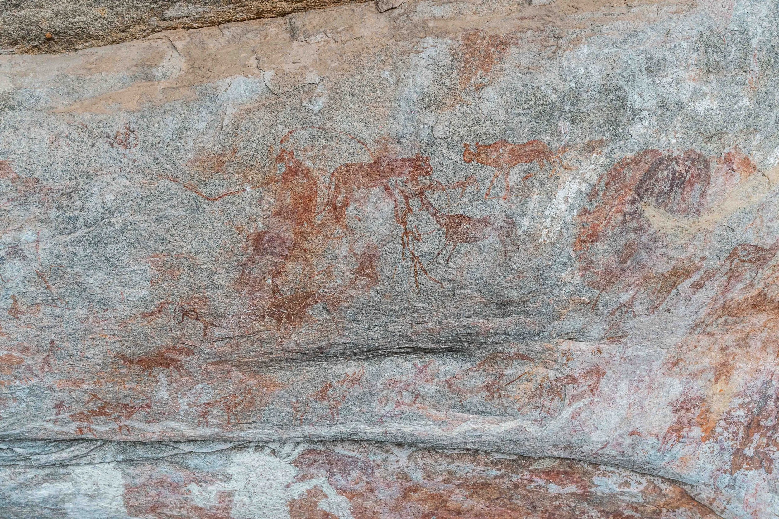 Prehistoric cave paintings of deer, felines and human figures on a rocky surface.