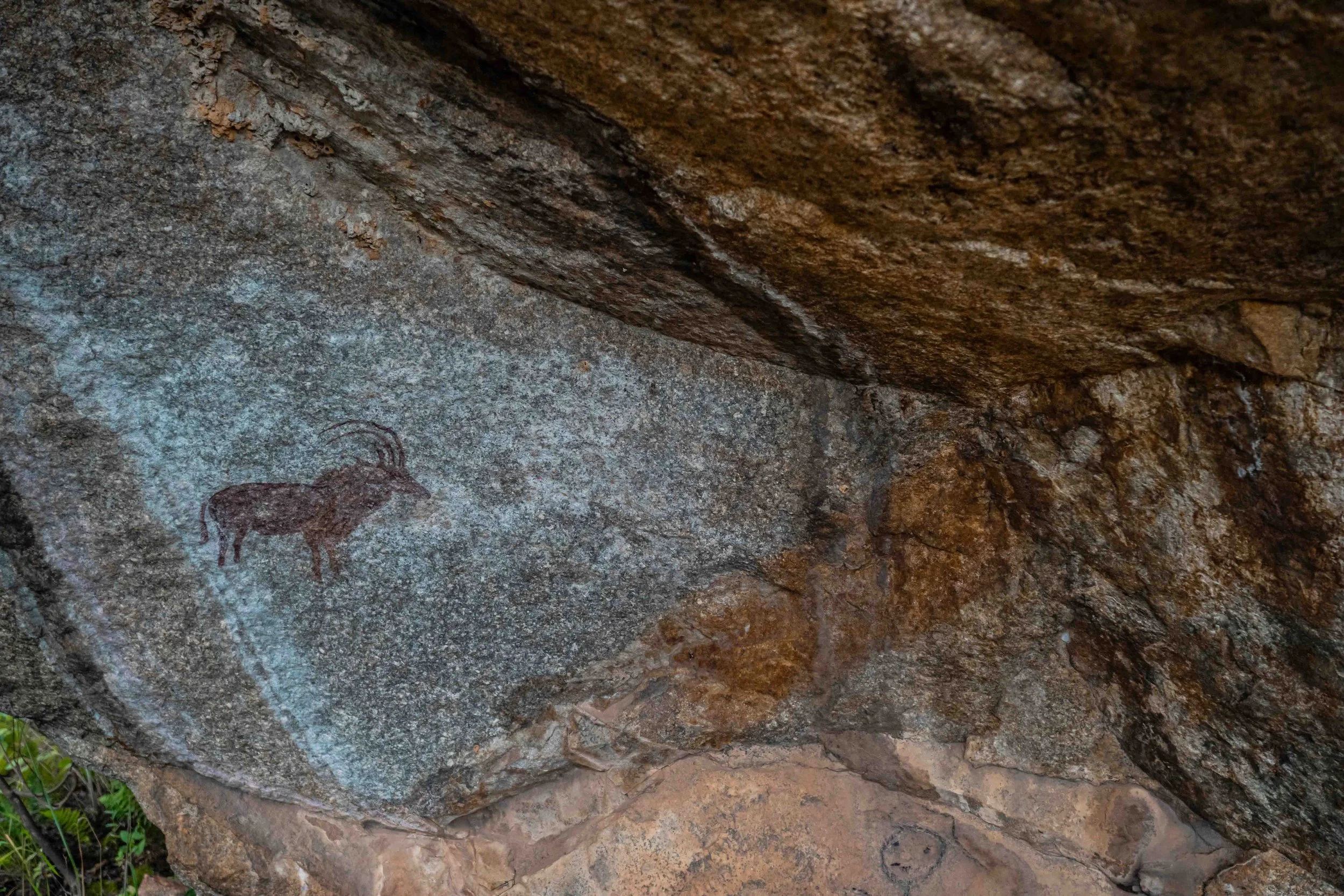 Prehistoric cave painting of a sable antelope on a rocky cave wall.