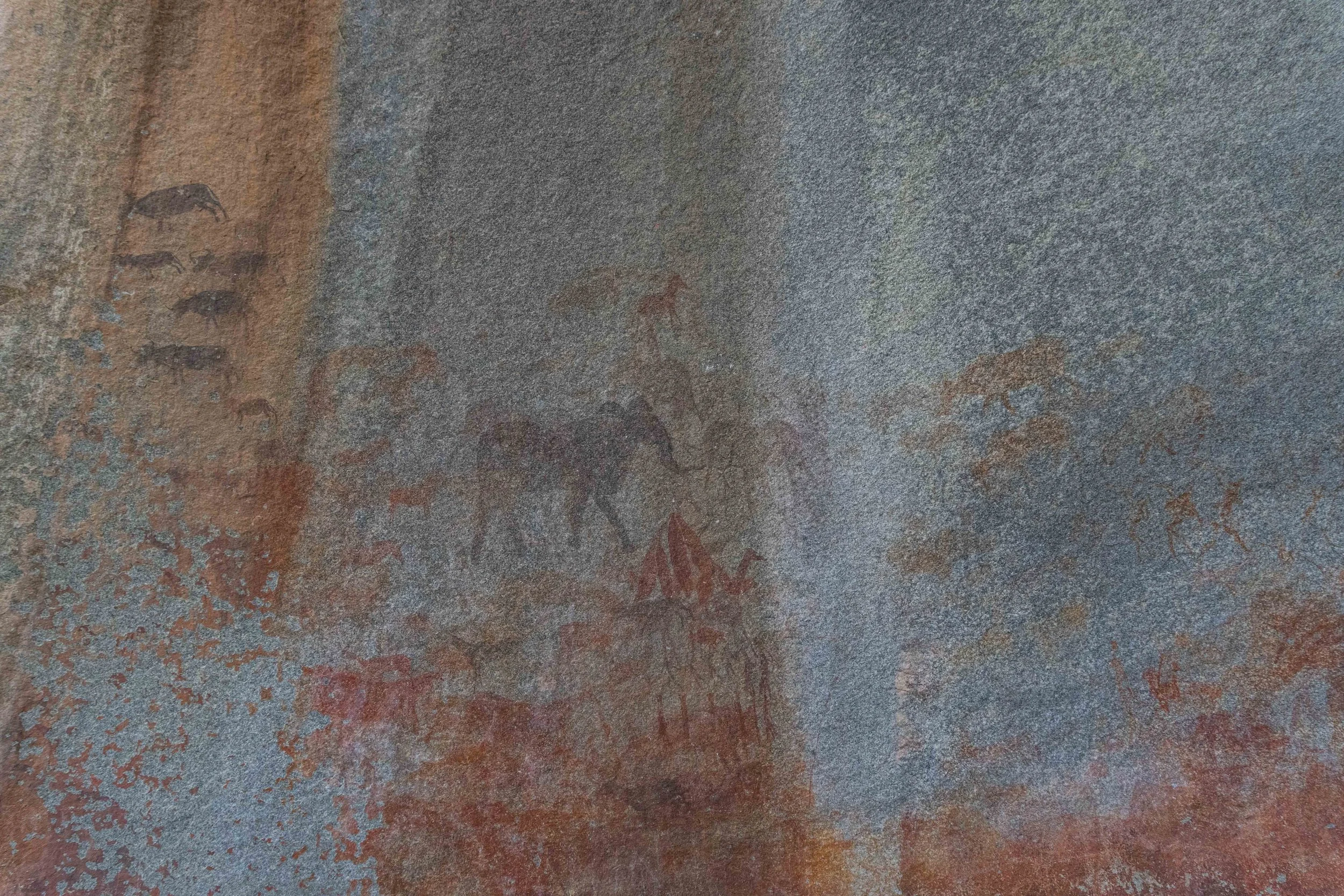 Ancient cave paintings of animals, including elephants and possibly buffalo, on a textured rock surface.