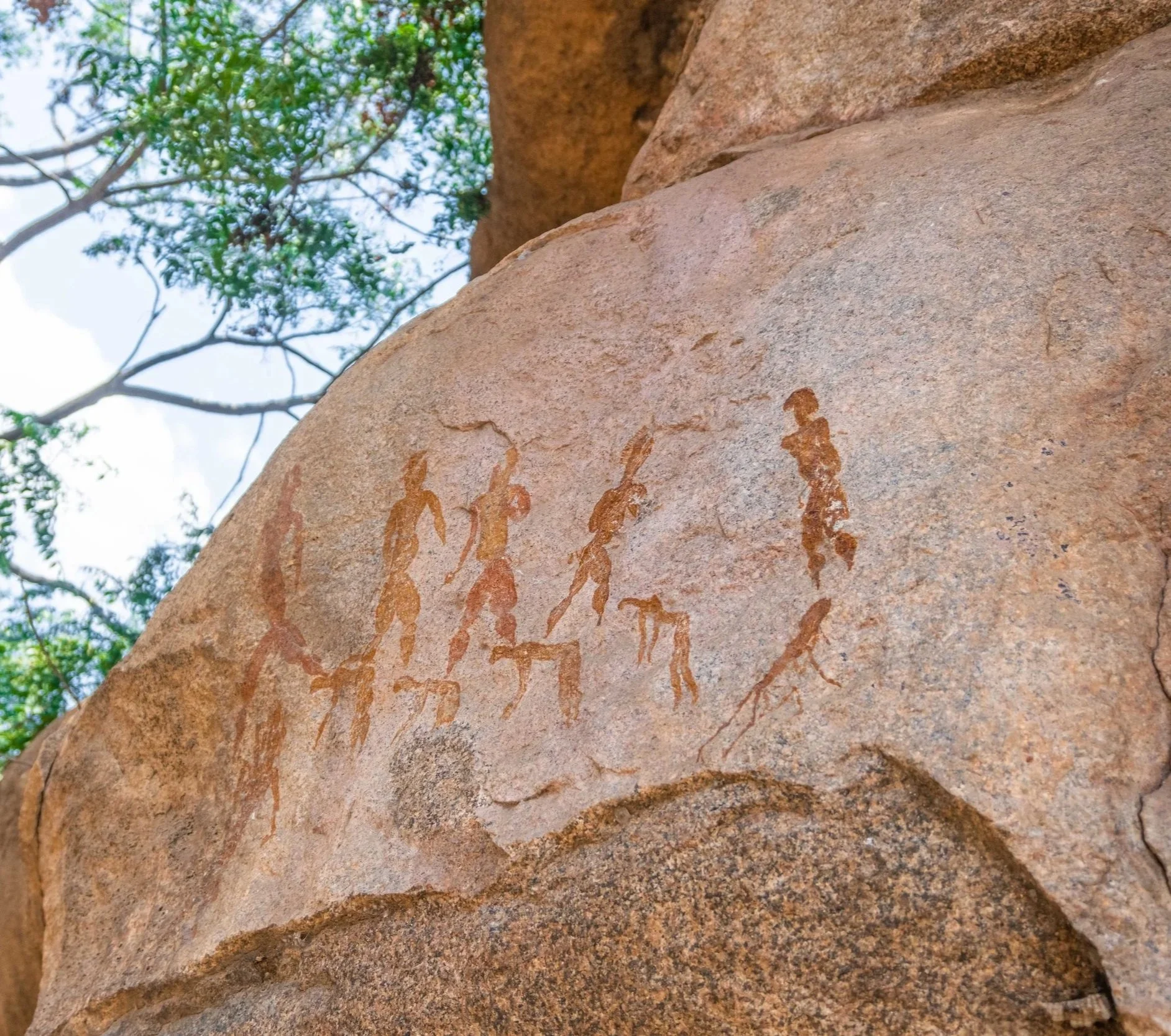 Ancient rock art depicting human figures which are half human half crocodile carved into a large stone, with a background of trees and blue sky.