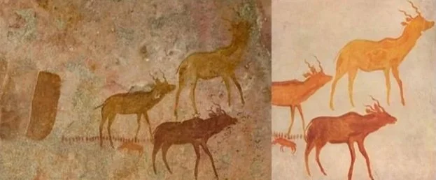 Ancient cave paintings of deer or elk, with some modern reproductions. The original paintings are faded and appear on a rough wall surface.