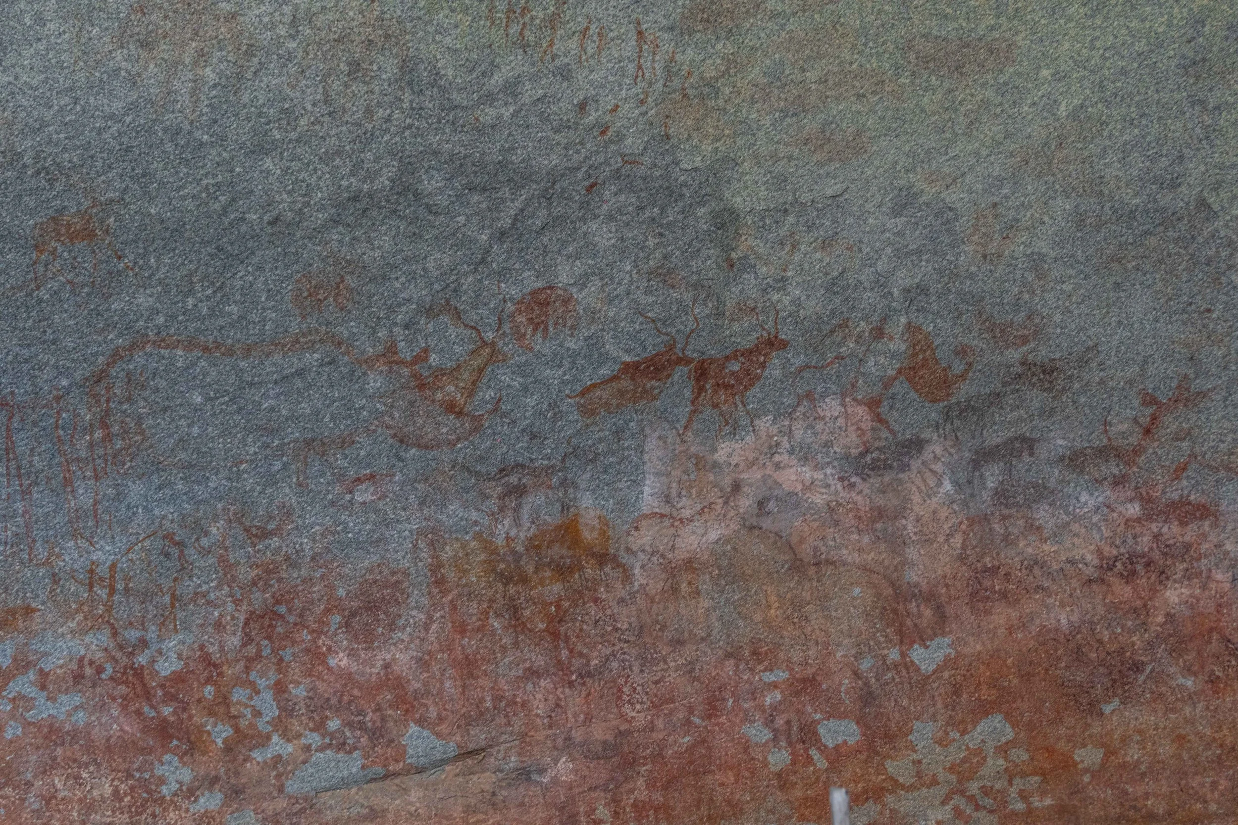 animal depictions at Domboshava