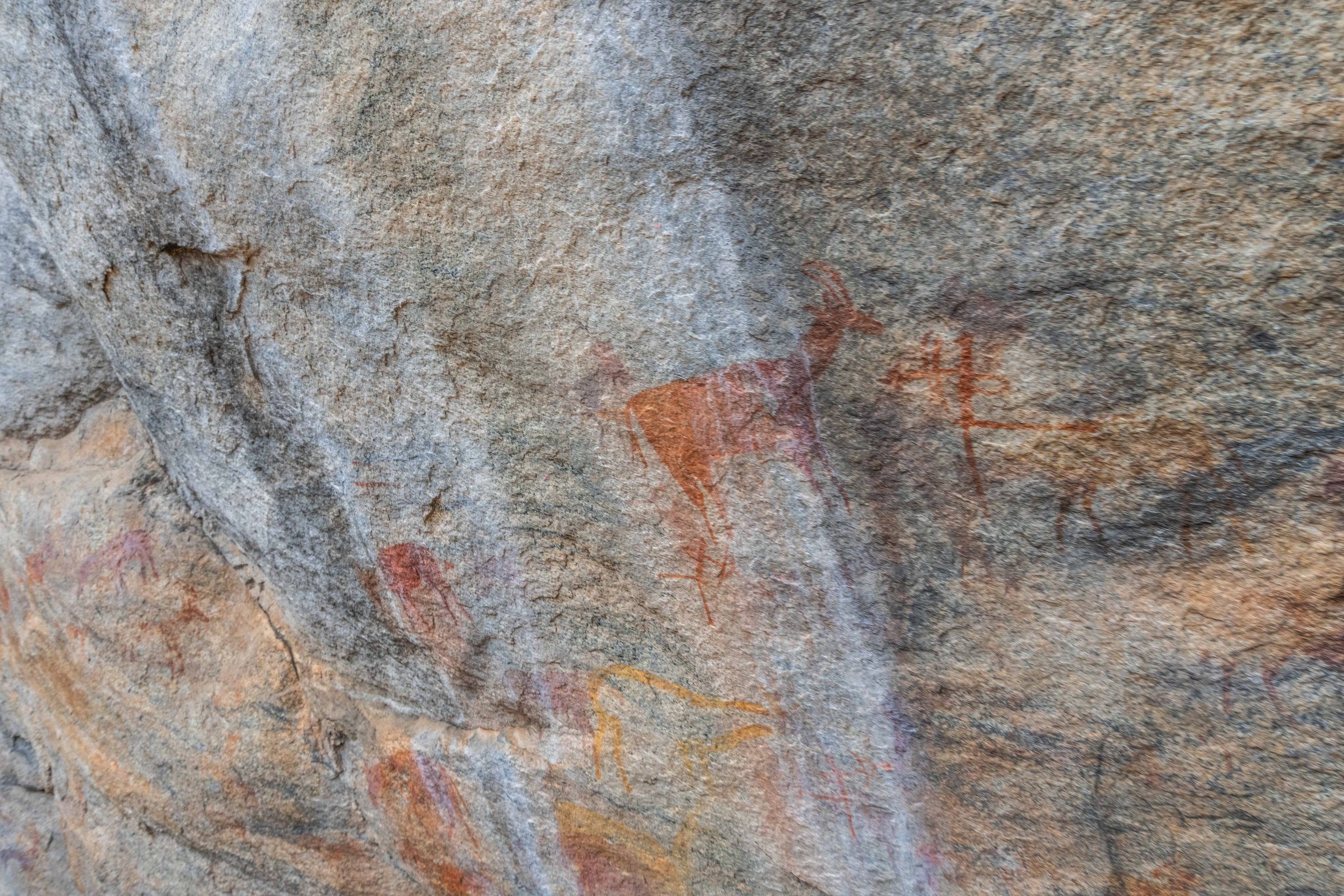 Ancient cave paintings of sable antelopes and a human figure with bow