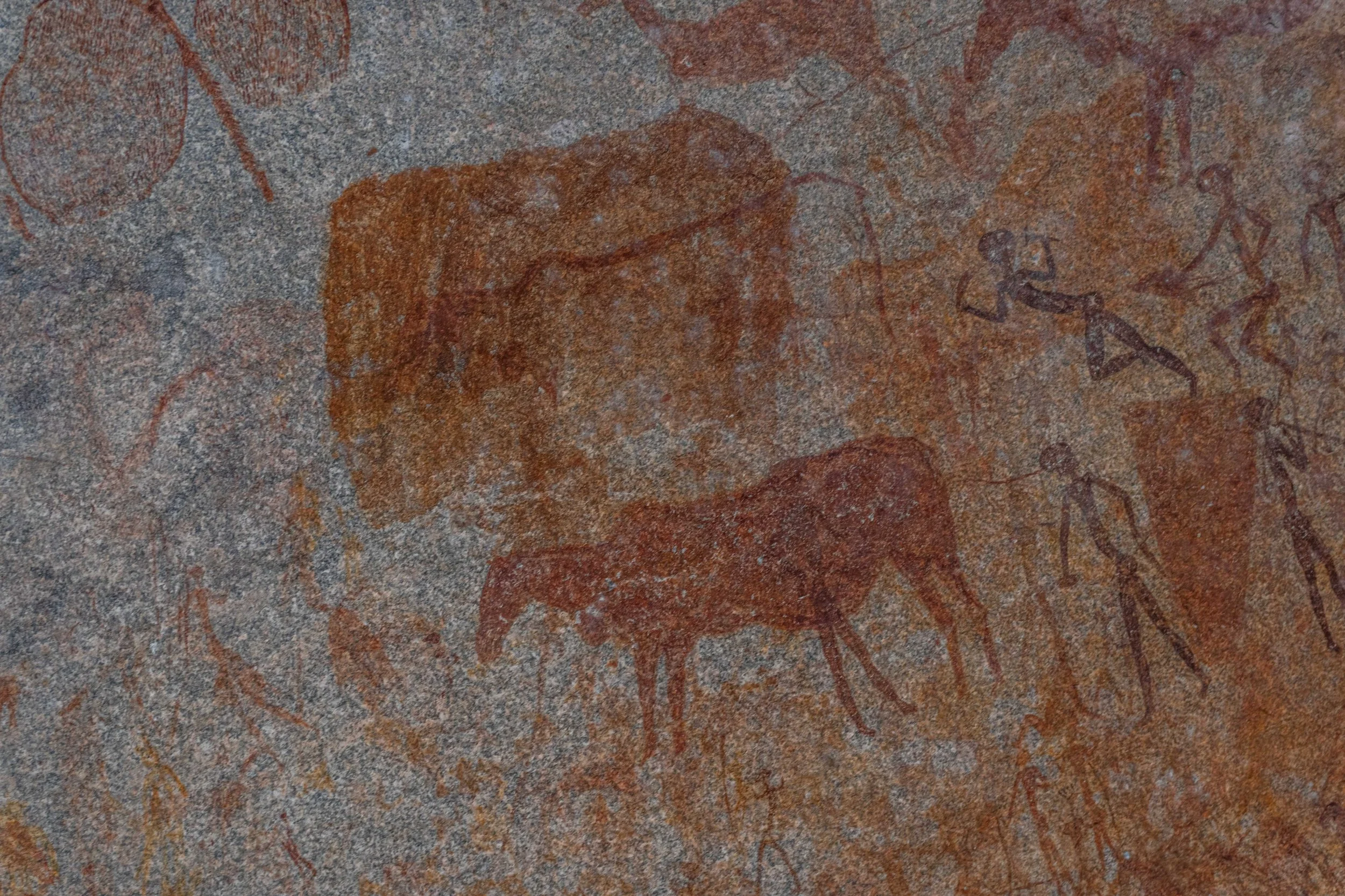 image showing depiction of animal figures